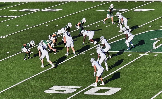 期望能看到 期望能看到