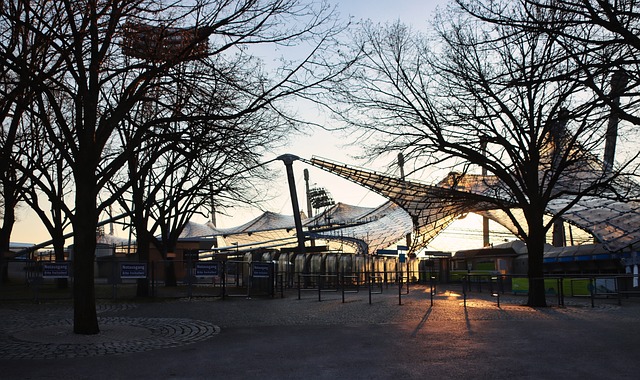 们看到了帕 们看到了帕