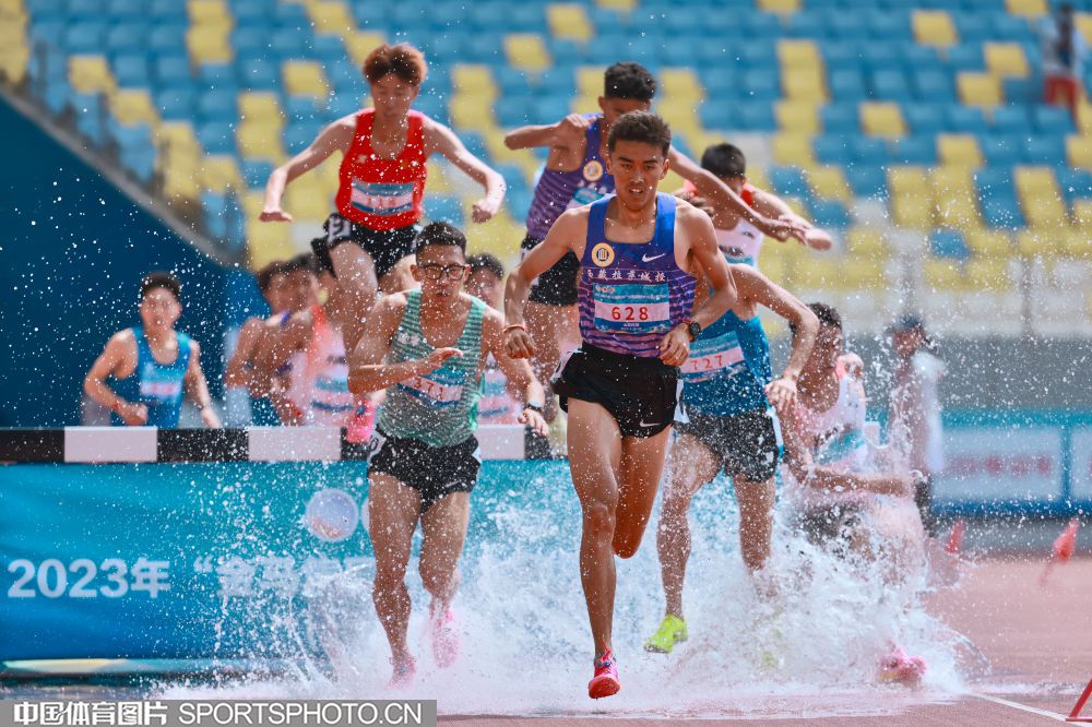 向着更高的 向着更高的