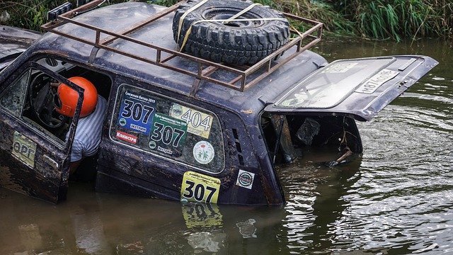 再来关注一 再来关注一