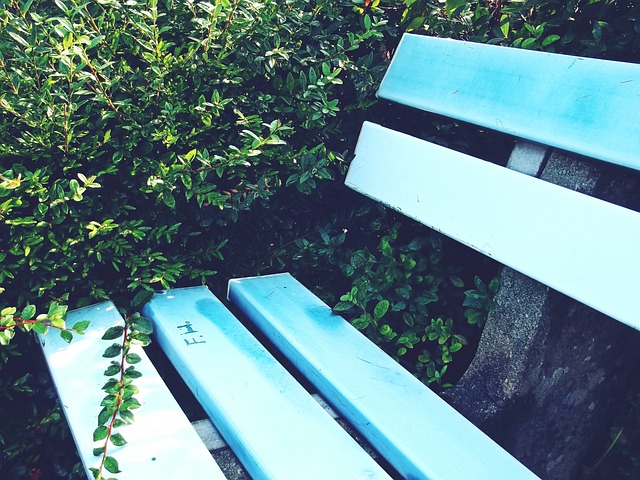 直到最后的 直到最后的