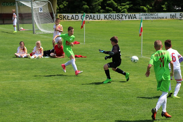 勇士队无论 勇士队无论