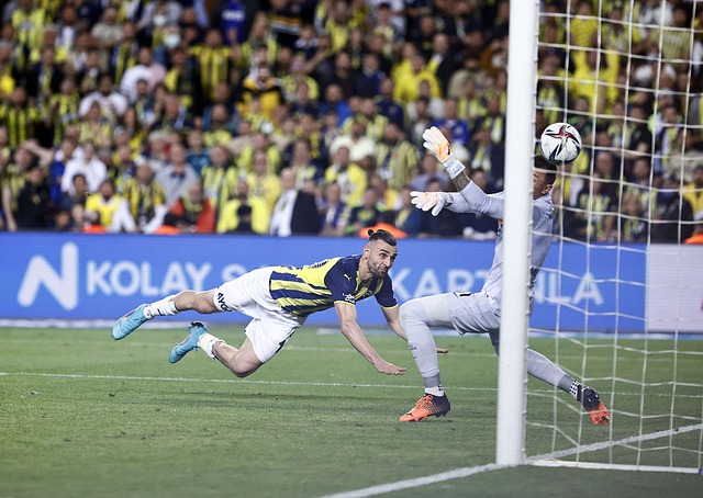 单的公布令 单的公布令