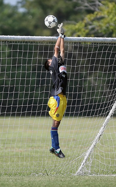 上海申花的 上海申花的