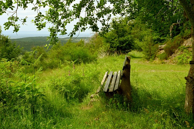 本文将对这 本文将对这