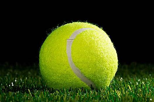 他能为球队 他能为球队