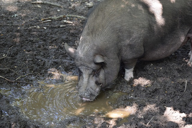 多人死亡 多人死亡